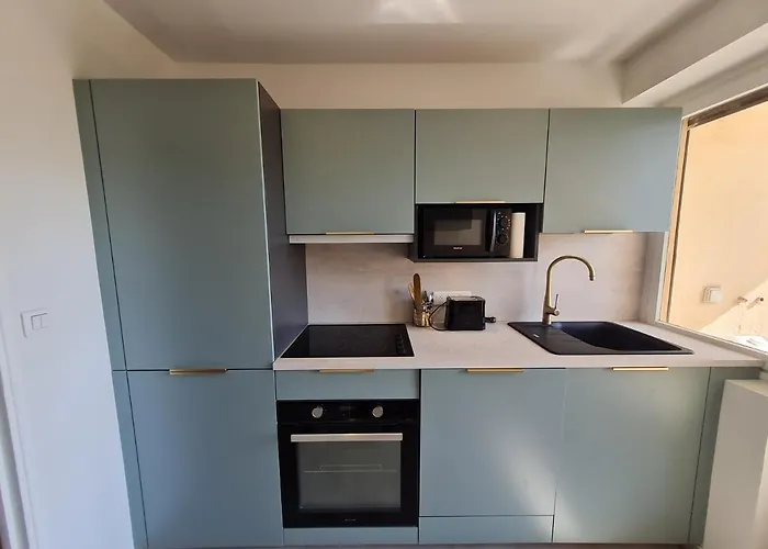 Appartement T3 Le President Proche Pinede Antibes